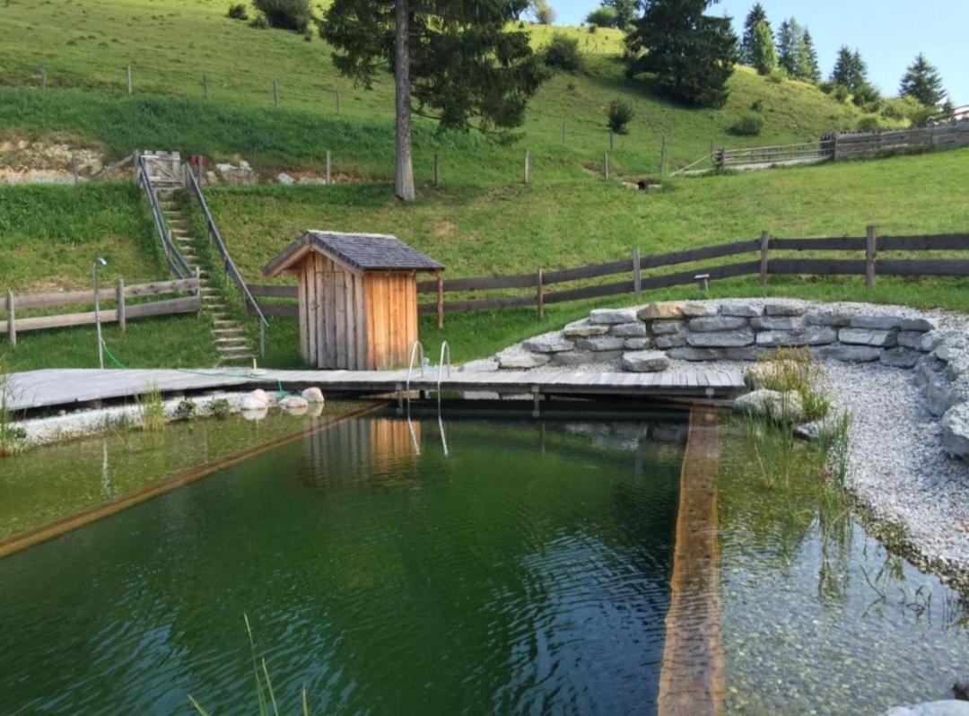 Sonnleit'N Zimmer 7 Abtenau Luaran gambar